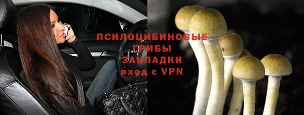 бутират Алексин
